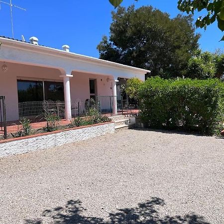 Beautiful Private Villa With Pool, Boliqueime, Loule Kültér fotó