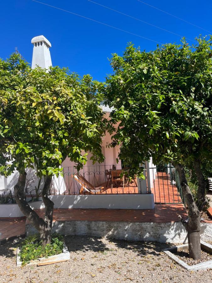 Beautiful Private Villa With Pool, Boliqueime, Loule Kültér fotó