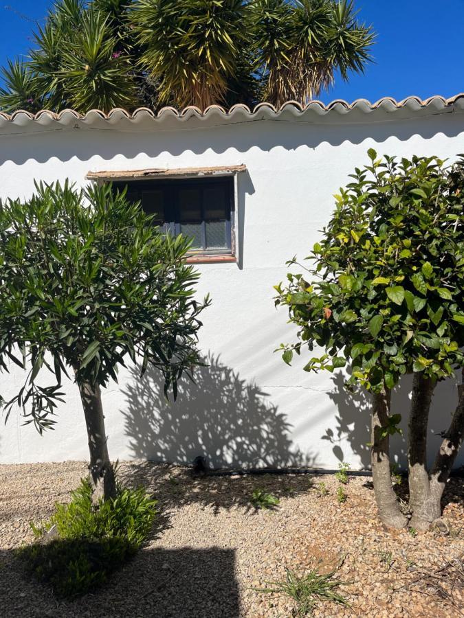 Beautiful Private Villa With Pool, Boliqueime, Loule Kültér fotó